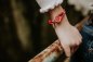Preview: Lunavit Stylisches Armband in Rot für modebewusste Frauen
